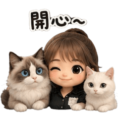 仨貓呼嚕嚕1