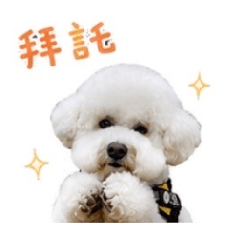 巨嬰巴庫的表情包