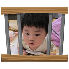 包子兄妹第二彈之小雞來