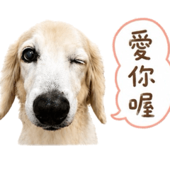 尼莫2