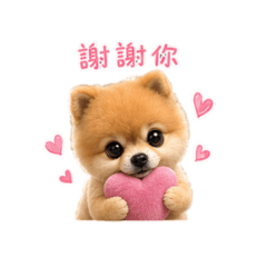 YI WEN的最愛萌寵