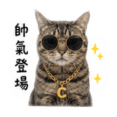 朱耳朵語錄