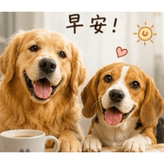 調皮黃金獵犬與貪吃米格魯
