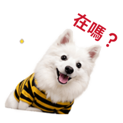 君君啾啾