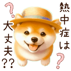 A Shiba Inu's Summer Days