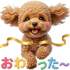Cute Toy Poodle Everyday Replies