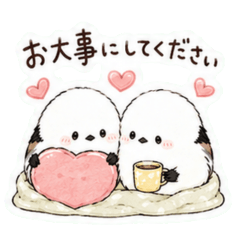 Gentle Care Shima Enaga 2