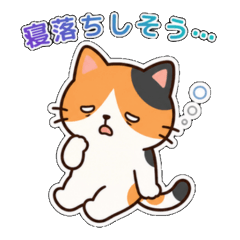 Daily Calico Cat Anzu 2