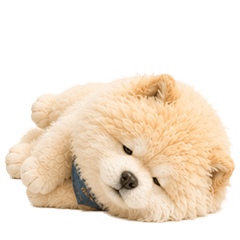 Fluffy Akita Dog, It Is.