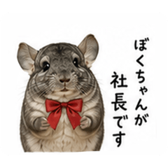 Happy Chinchilla Karna Spreading Joy