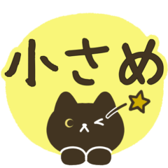 A very cute black cat.