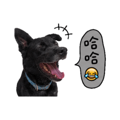 嘿嘿ㄉ愛