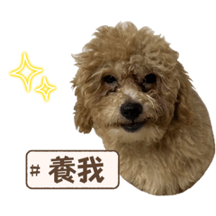 邪惡搖粒絨肉桂捲日常