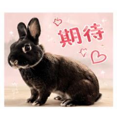 胖妞To｜李小妹