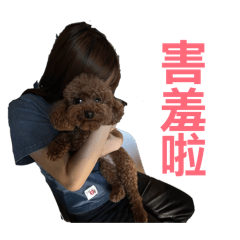 漂亮女朋友～～～