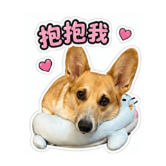 漾仔1.0