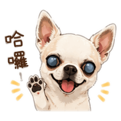 最愛的一堆 狗狗貓貓版