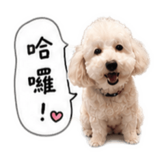肥肥莎的貼圖