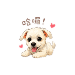 Lucky 好可愛