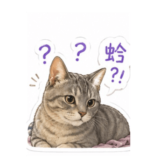 蛋塔貼圖