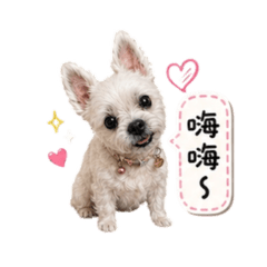 小酷比1.0
