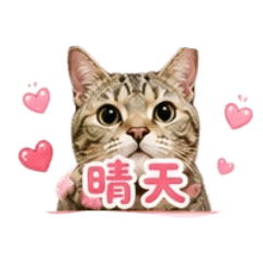 羅家小公主（晴天日常）