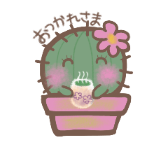 Cactus&Cactus