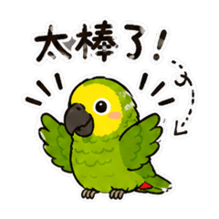 木木芙
