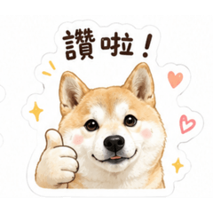咪妮的日常❤️