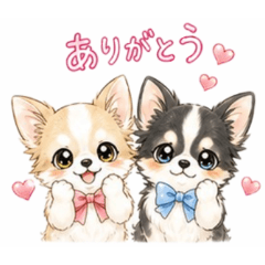 Feelings of an Anime-Style Chihuahua3