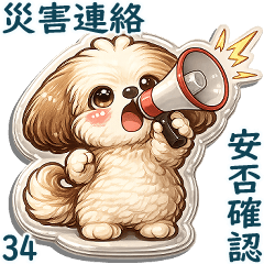 3D Shih tzu 2026 (Disaster contact) 34