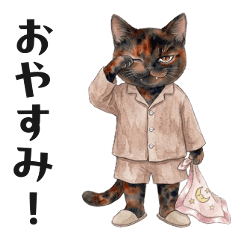 Fashionable Tortie Cat Vol.1