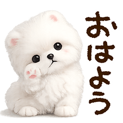 Chibi Maltese 3D