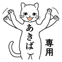 Name Sticker for Akiba