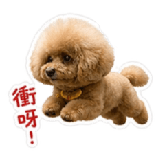 有你生活很美好
