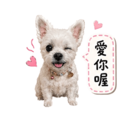 小酷比1.0更新版