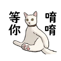 皮蛋的廢材生活