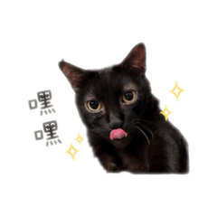帥帥多多