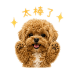 點點的日常2