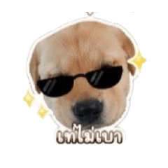 sticker_20260502165847