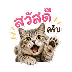 NorthStudio_20260502165306