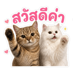 Moji & June