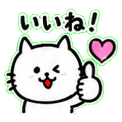 Everyday White Cat Sticker