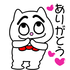 A strange white cat