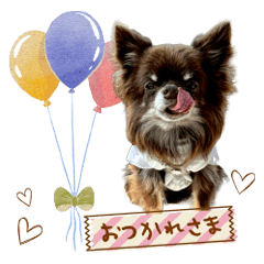 chocolate's Sticker@ringonohoppe