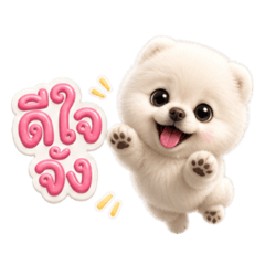 Safezone_20260502184334