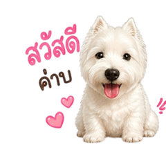mayu&yudo_20260502184357