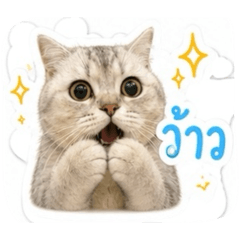 Hanter_20260502184346