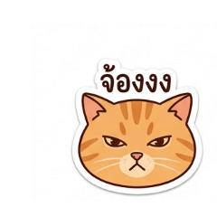 Hana_20260502185441