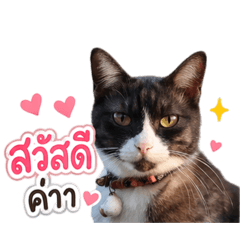 Nooni_20260502190945